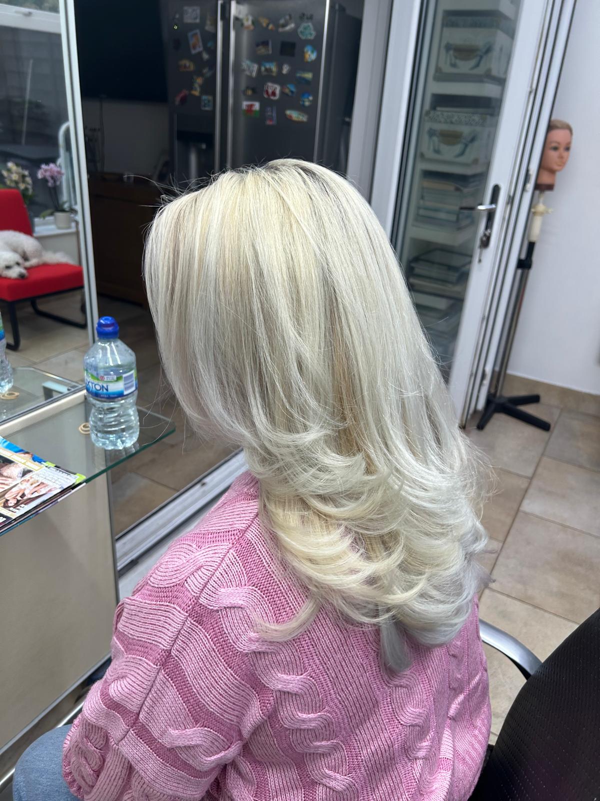 Brassy to Ice Blonde — after by Laura Astley