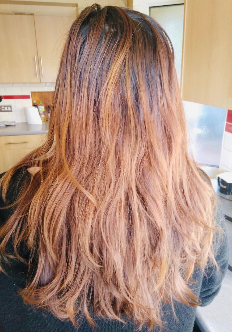 Faded Copper to Glossy Chestnut Blow-Dry — before by Laura Astley